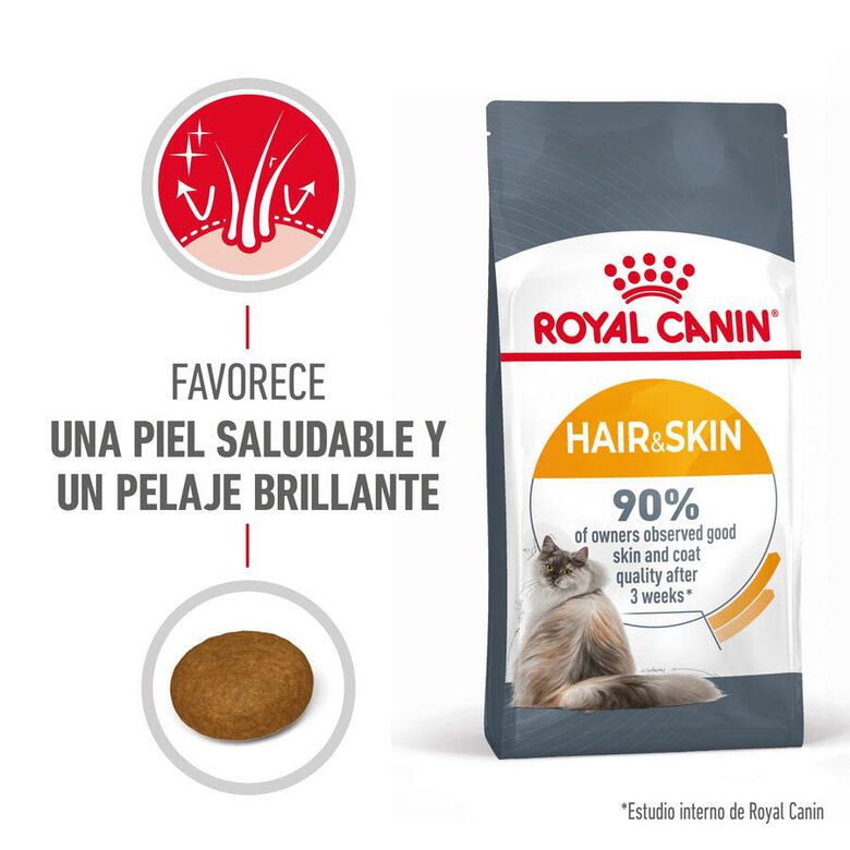 Royal Canin Hair&Skin ração para gatos, , large image number null